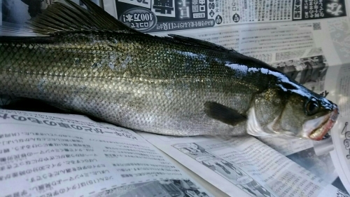 a0216805_10590548.jpg
