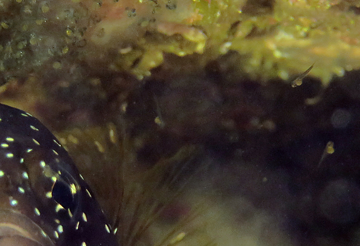 a0060407_16504987.jpg