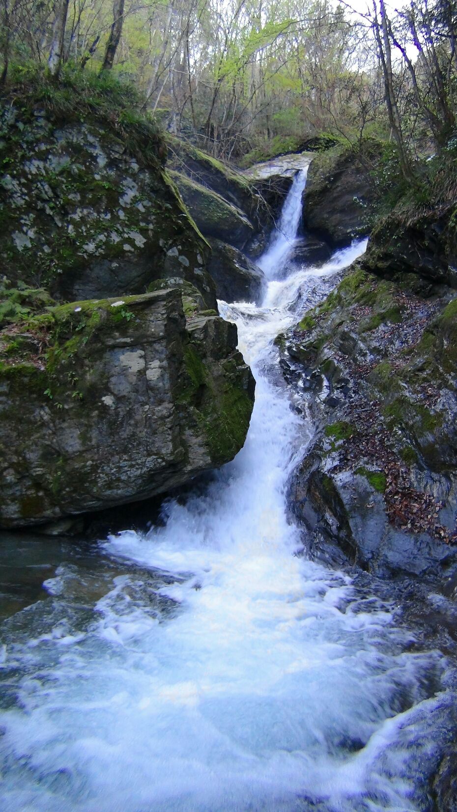 f0231709_00524.jpg