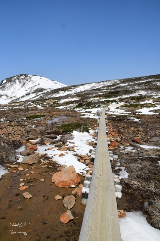 b0223512_22040960.jpg