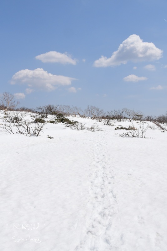 b0223512_22501209.jpg