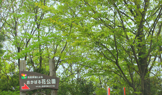 a0329820_15362378.jpg