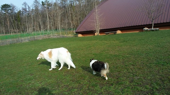 e0190220_16133980.jpg