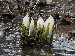 e0362222_22201798.jpg