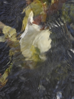 e0362222_22240951.jpg