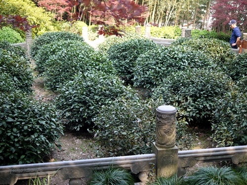 a0169924_22203473.jpg