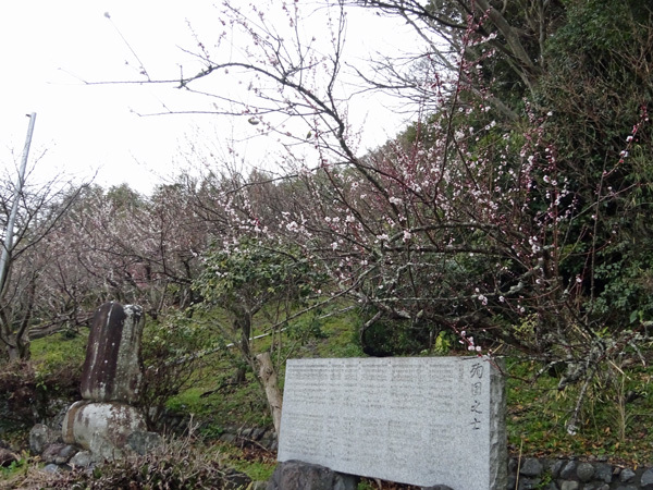 e0192725_09235501.jpg