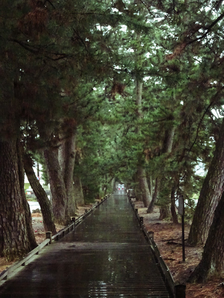 e0192725_09291370.jpg