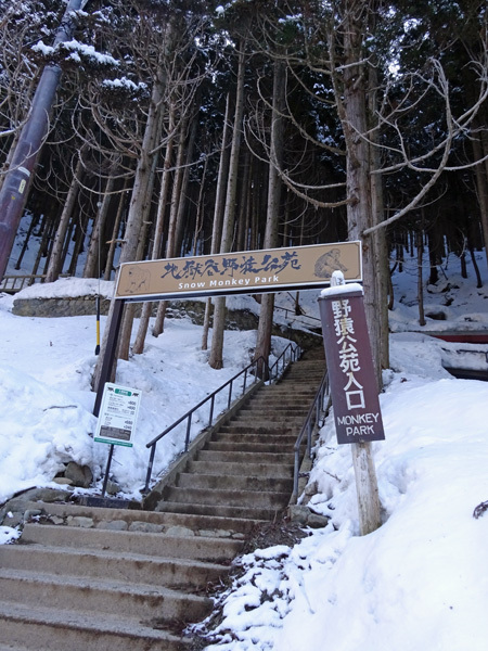e0192725_19041837.jpg