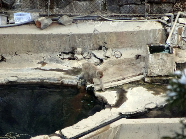 e0192725_19042626.jpg