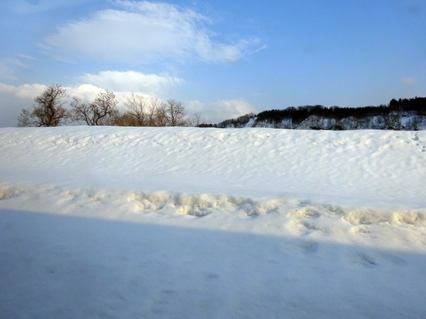 e0192725_20341544.jpg