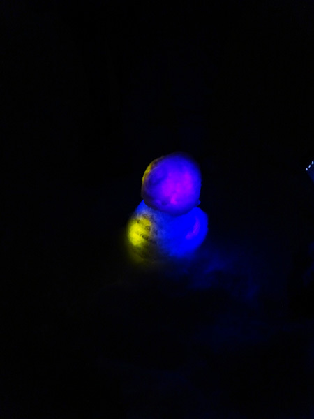 e0192725_20420155.jpg
