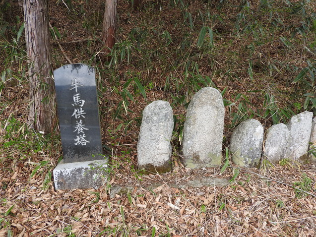 f0118332_23172951.jpg