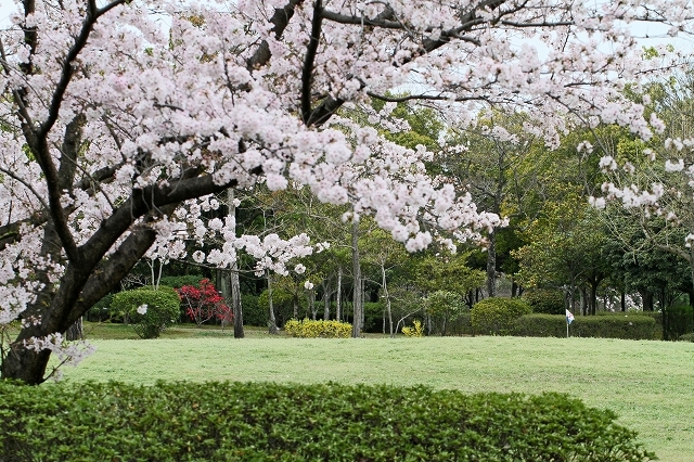 a0242438_21152925.jpg
