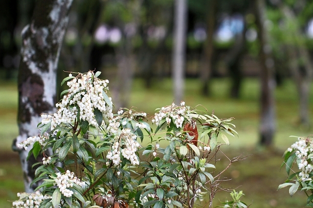a0242438_21164172.jpg