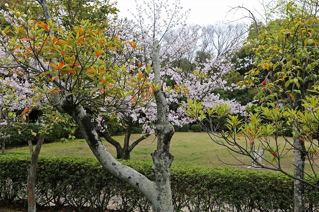 a0242438_21173699.jpg