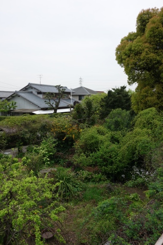 f0375039_18264393.jpg