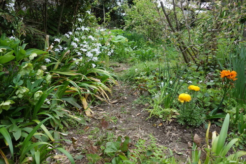 f0375039_18272460.jpg