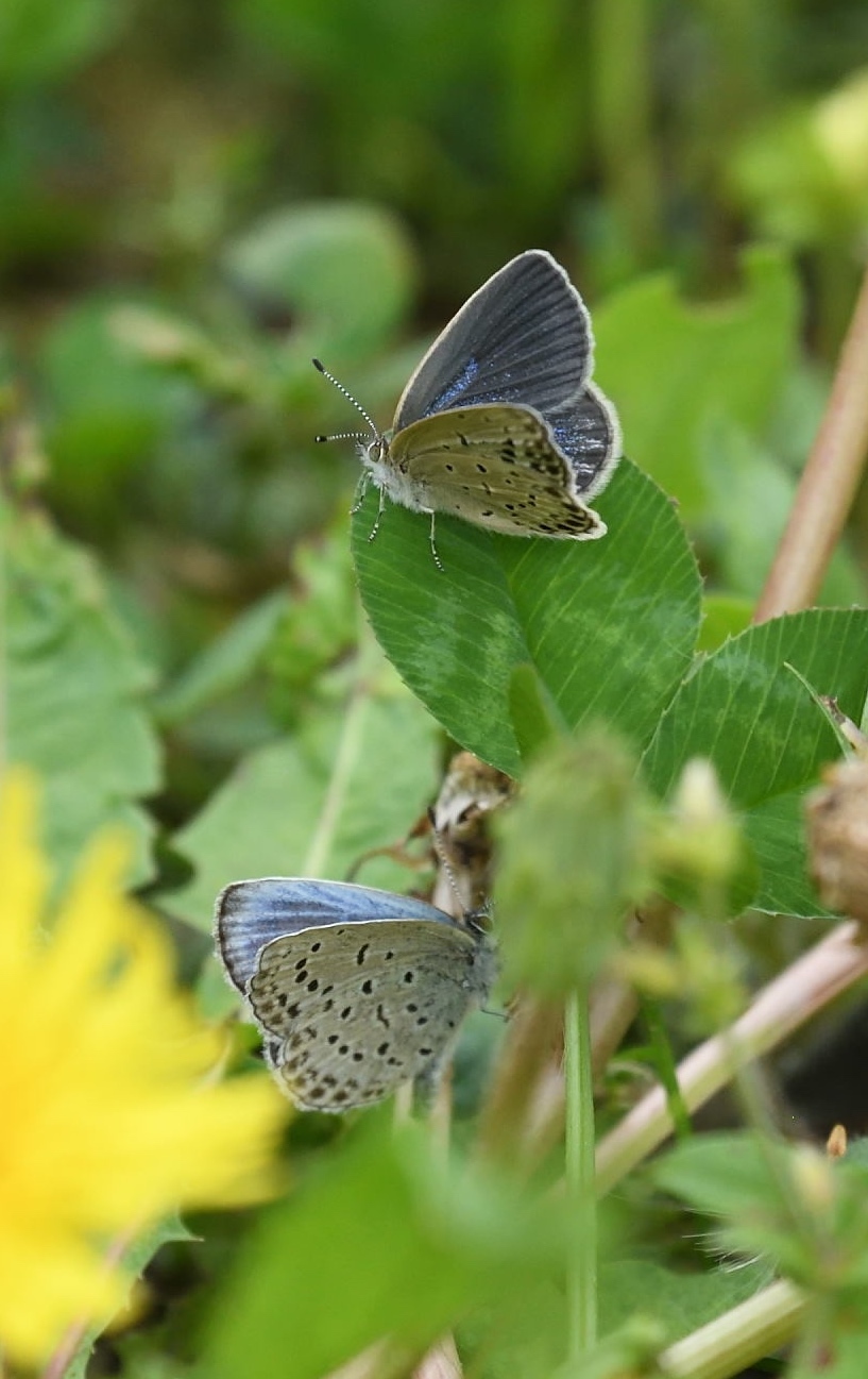 d0285540_20154961.jpg