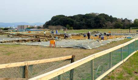 a0100742_10201980.jpg