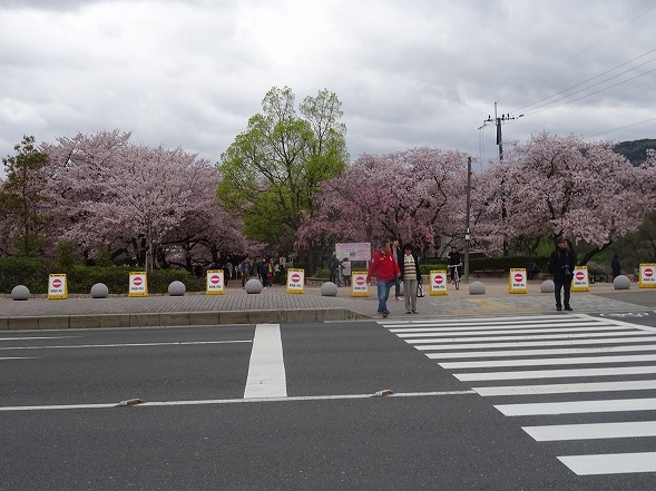 b0299042_16144115.jpg