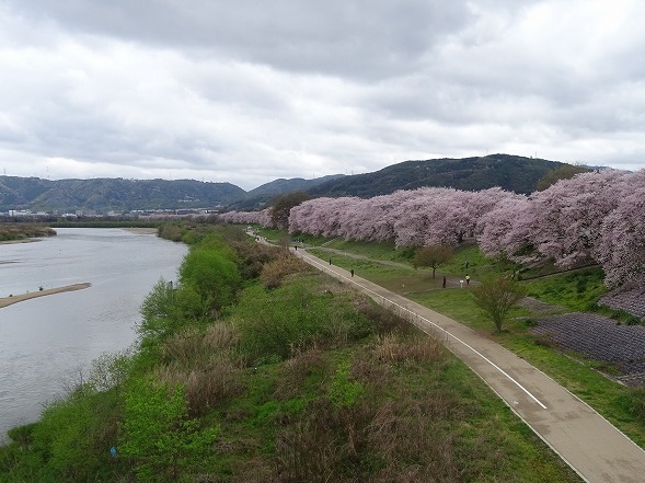 b0299042_16144888.jpg