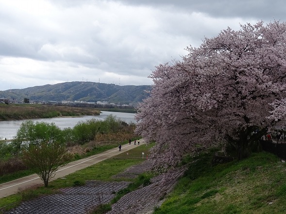 b0299042_16145315.jpg