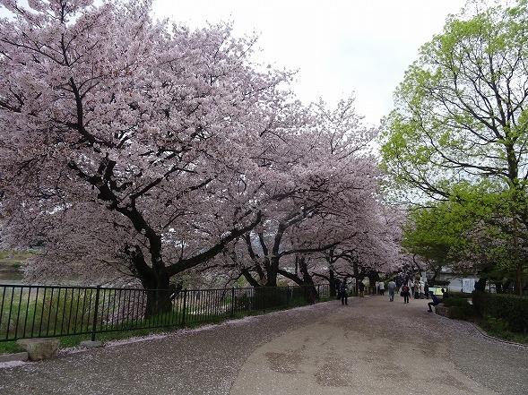 b0299042_16150928.jpg