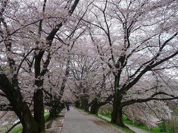 b0299042_16152112.jpg