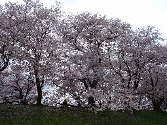 b0299042_16160597.jpg