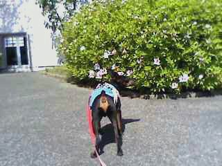 e0150843_001315.jpg