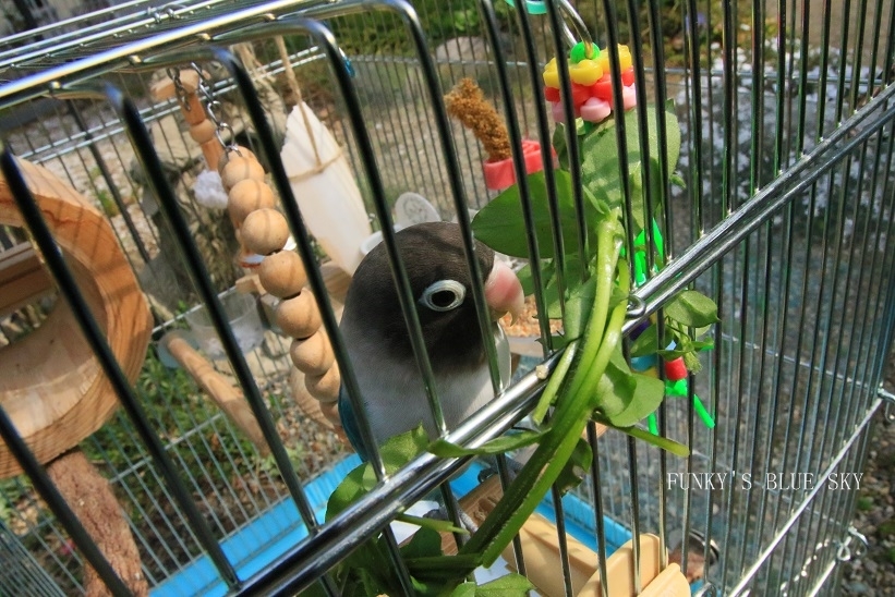 c0145250_09150885.jpg