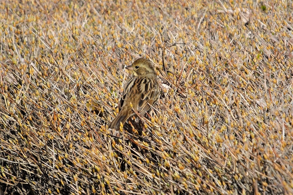 b0236251_10421349.jpg