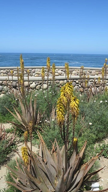 c0355451_02554145.jpg