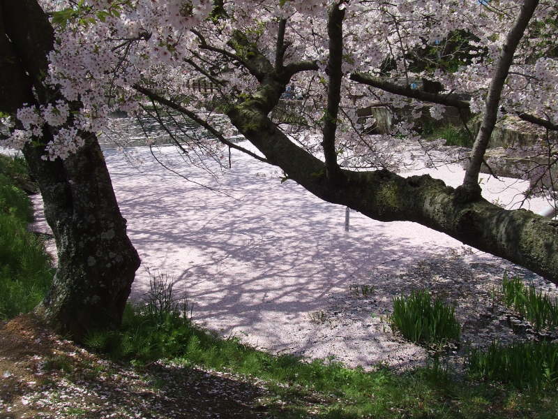 f0377351_15500624.jpg