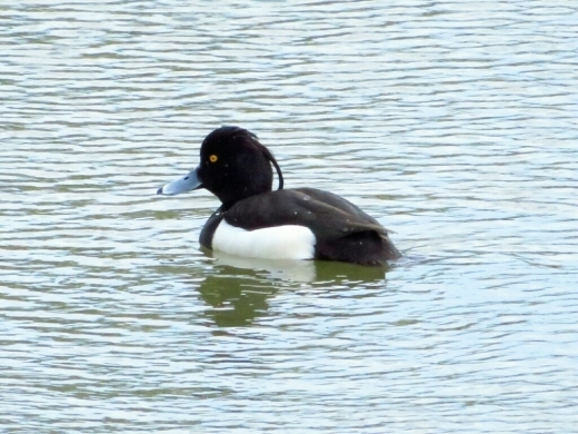 a0018655_19492392.jpg