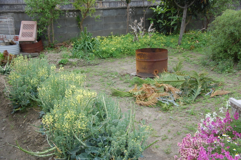 c0108460_21463233.jpg