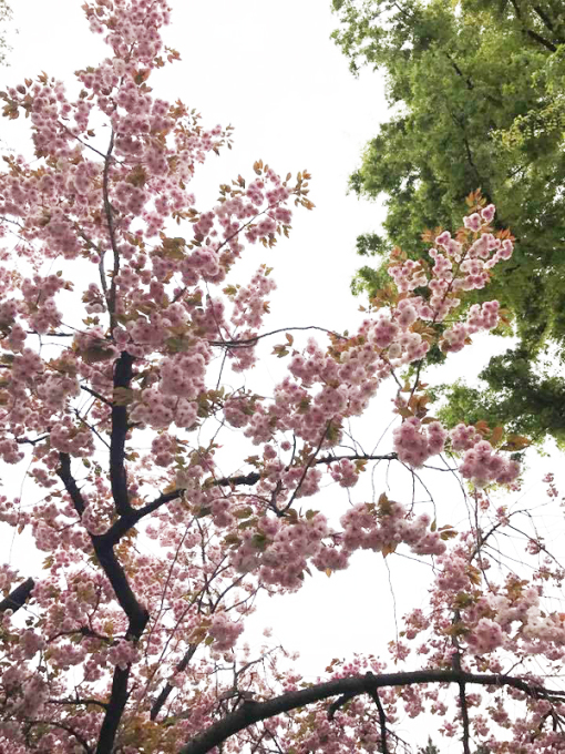 a0246661_19381309.jpg