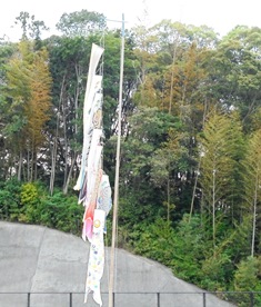 f0152061_16315338.jpg