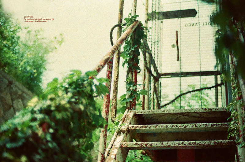 b0243873_14264884.jpg