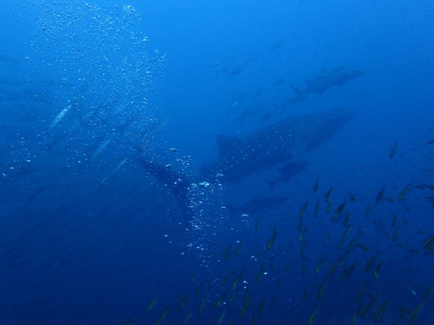 c0039073_23001414.jpg
