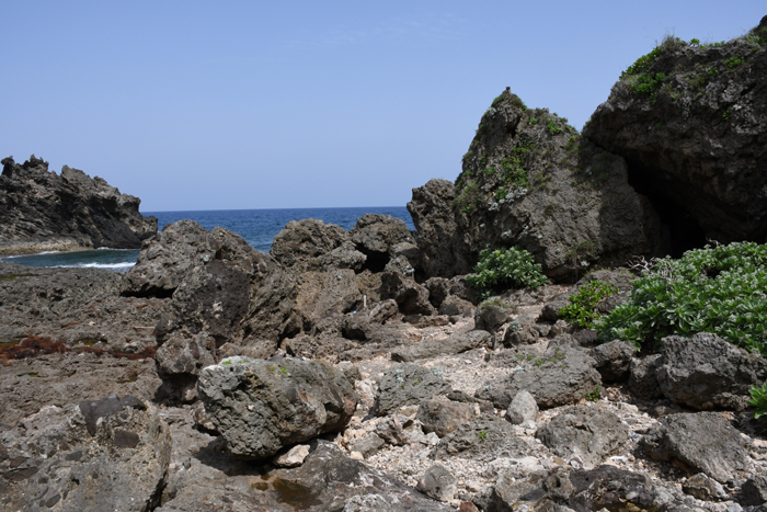 e0171573_16475545.jpg