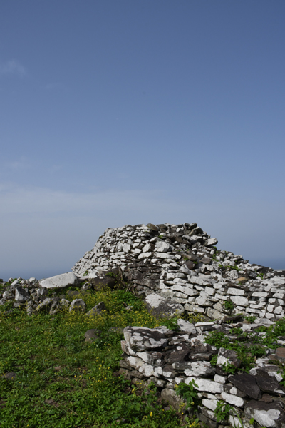 e0171573_16531689.jpg