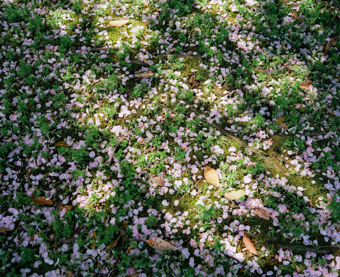 b0246079_04440865.jpg