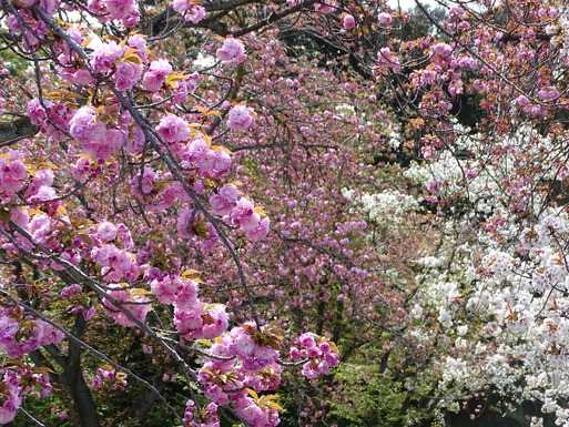 b0159780_16876.jpg