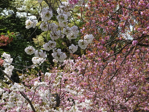 b0159780_191193.jpg