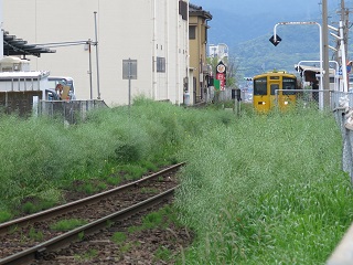 e0130185_18432714.jpg