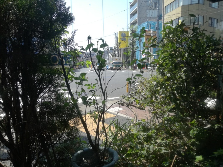 c0210087_19512860.jpg