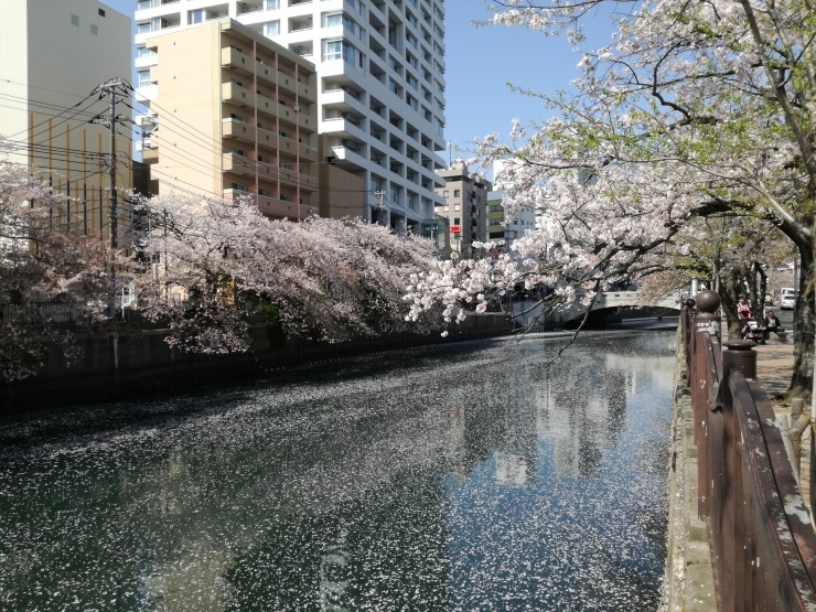 c0210087_22051910.jpg
