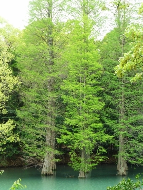 e0037391_11001053.jpg